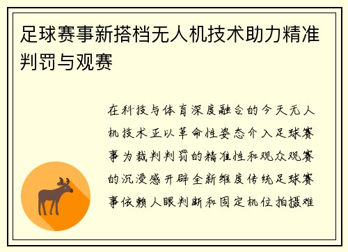 足球赛事新搭档无人机技术助力精准判罚与观赛